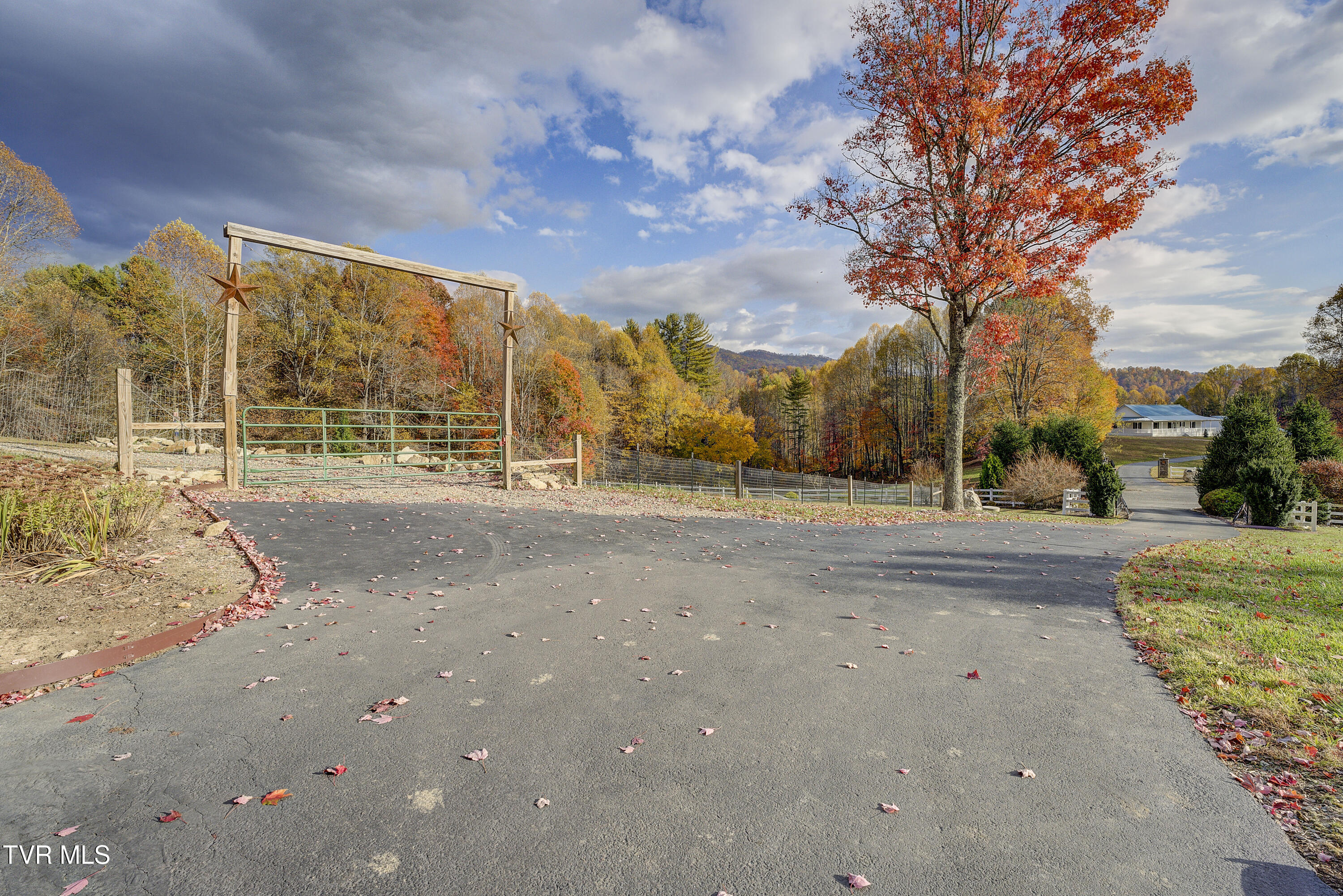 1008 Holly Meadow Road Mountain City, TN 37683 - Photo 105 of 121 HollyMeadow-59