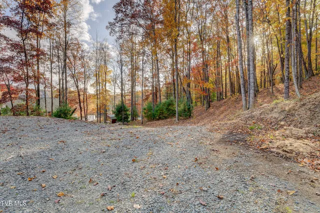$1,750,000 | 1008 Holly Meadow Road, Mountain City, TN 37683