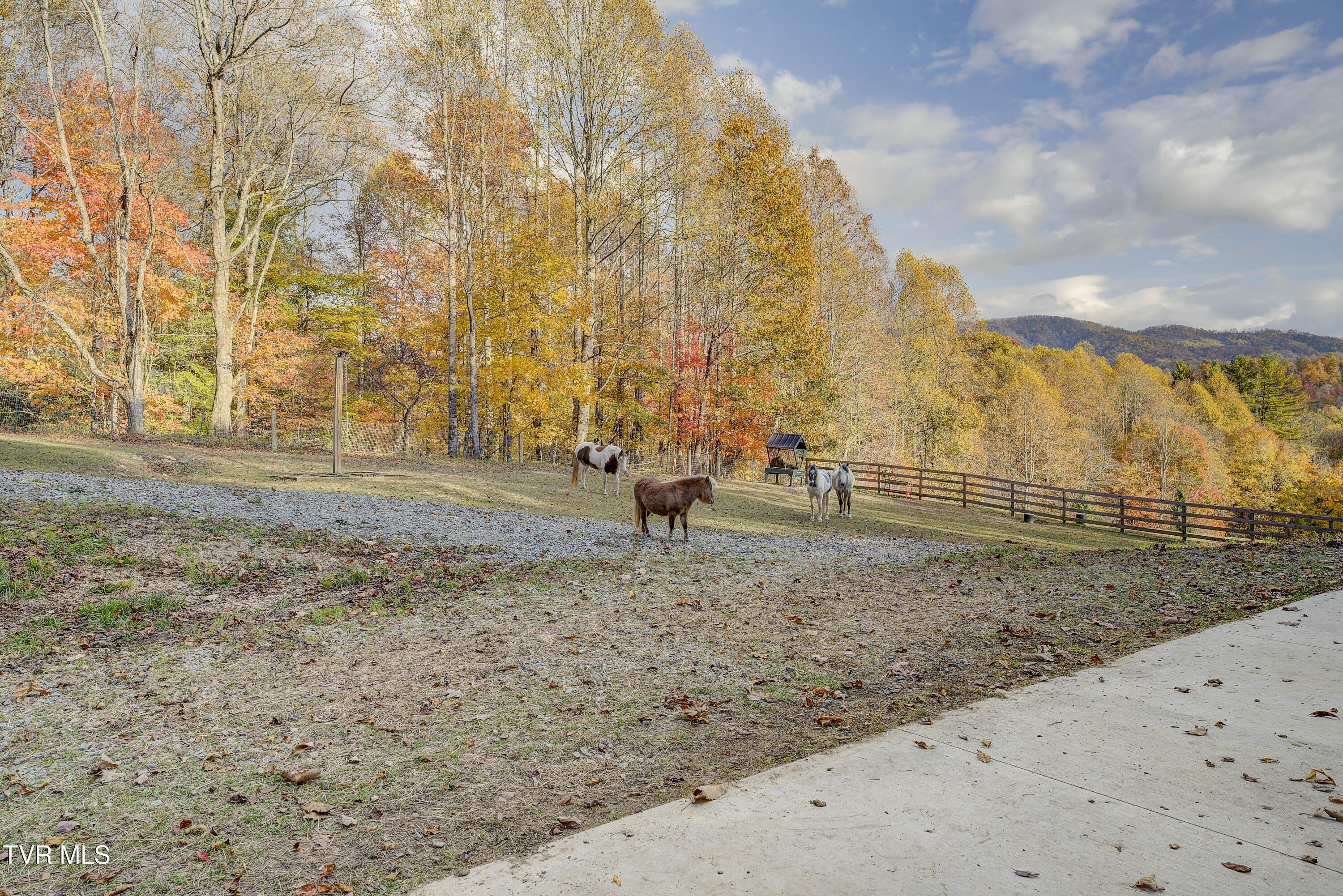 1008 Holly Meadow Road Mountain City, TN 37683 - Photo 110 of 121 HollyMeadow-64