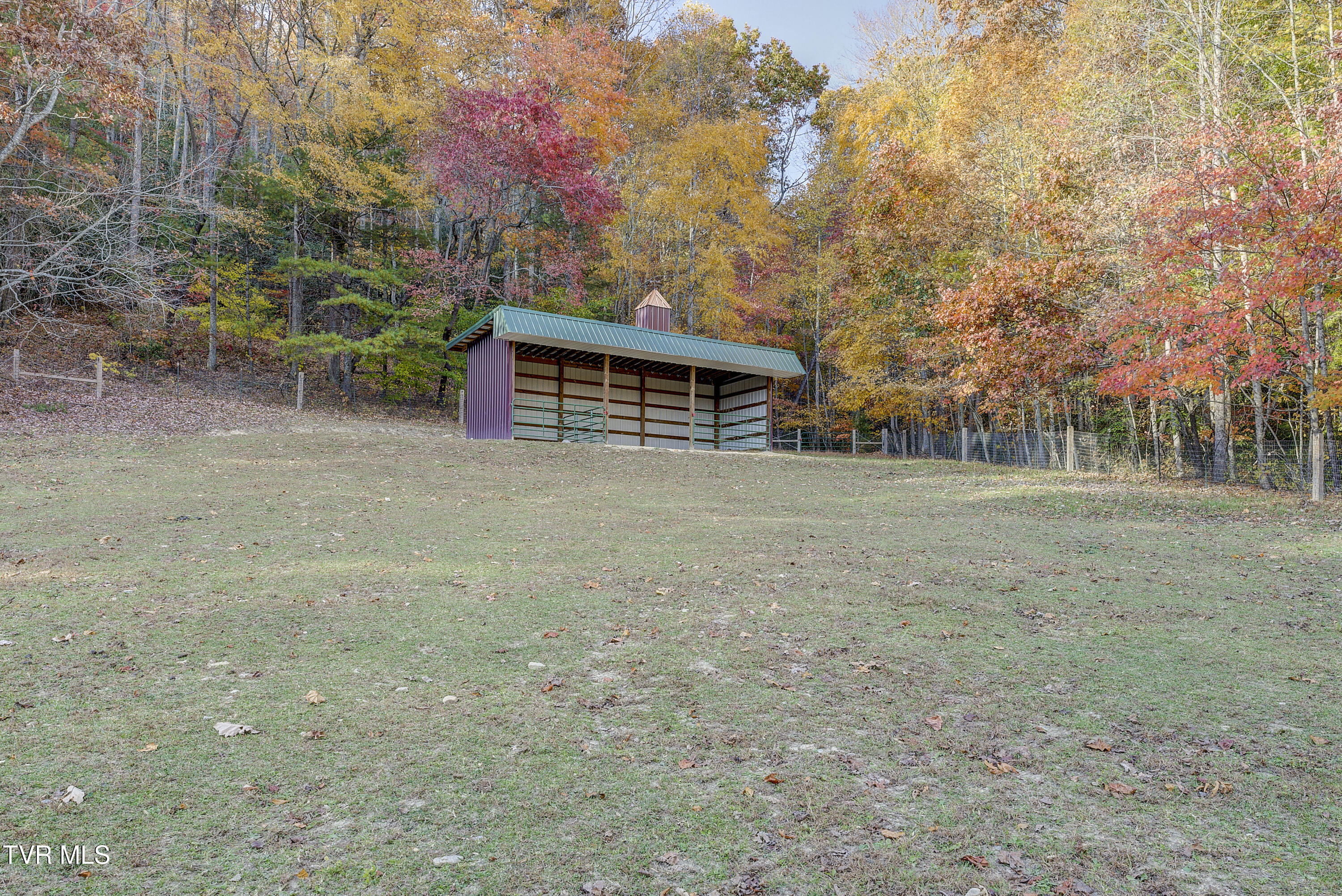 1008 Holly Meadow Road Mountain City, TN 37683 - Photo 111 of 121 HollyMeadow-65