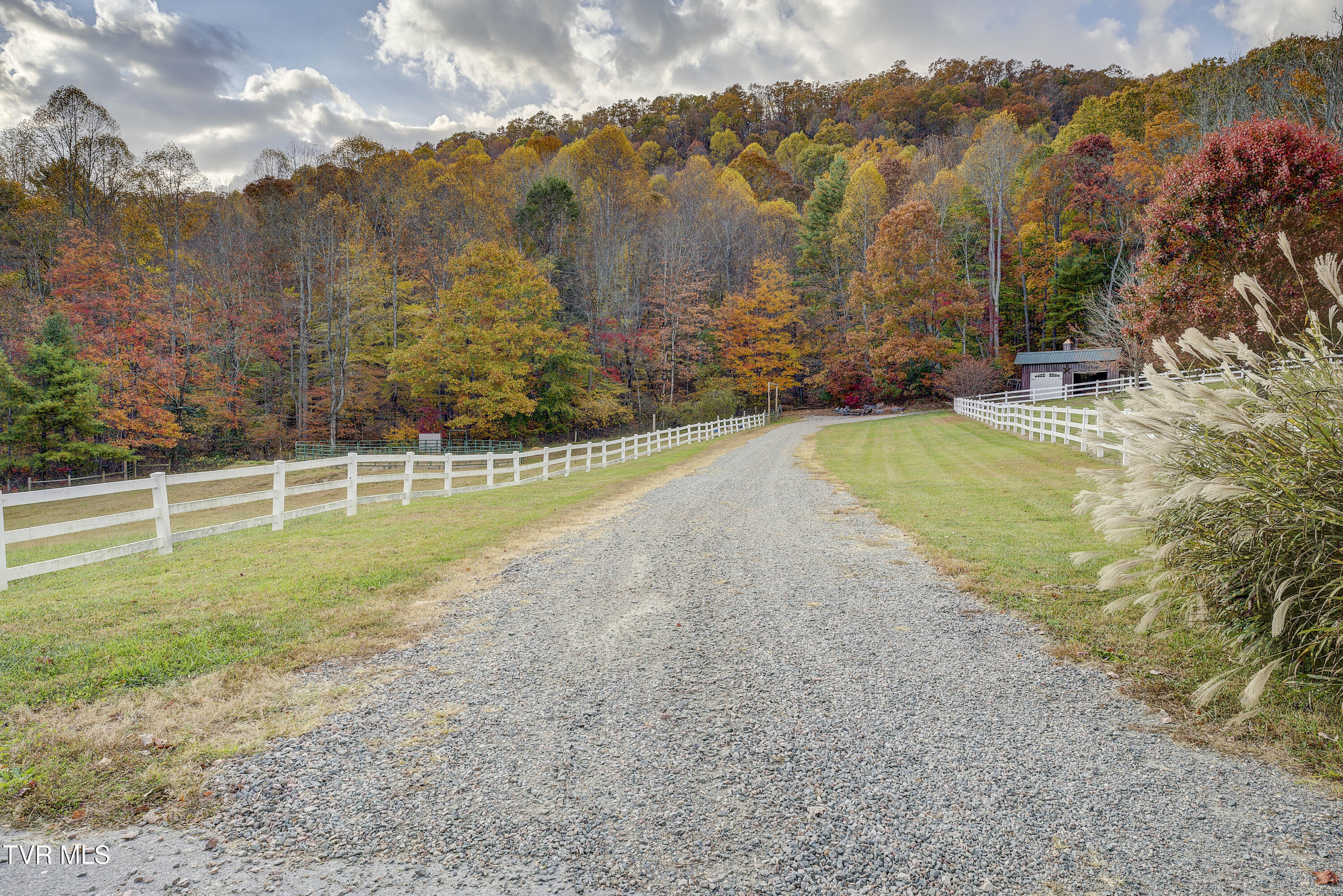 1008 Holly Meadow Road Mountain City, TN 37683 - Photo 115 of 121 HollyMeadow-77