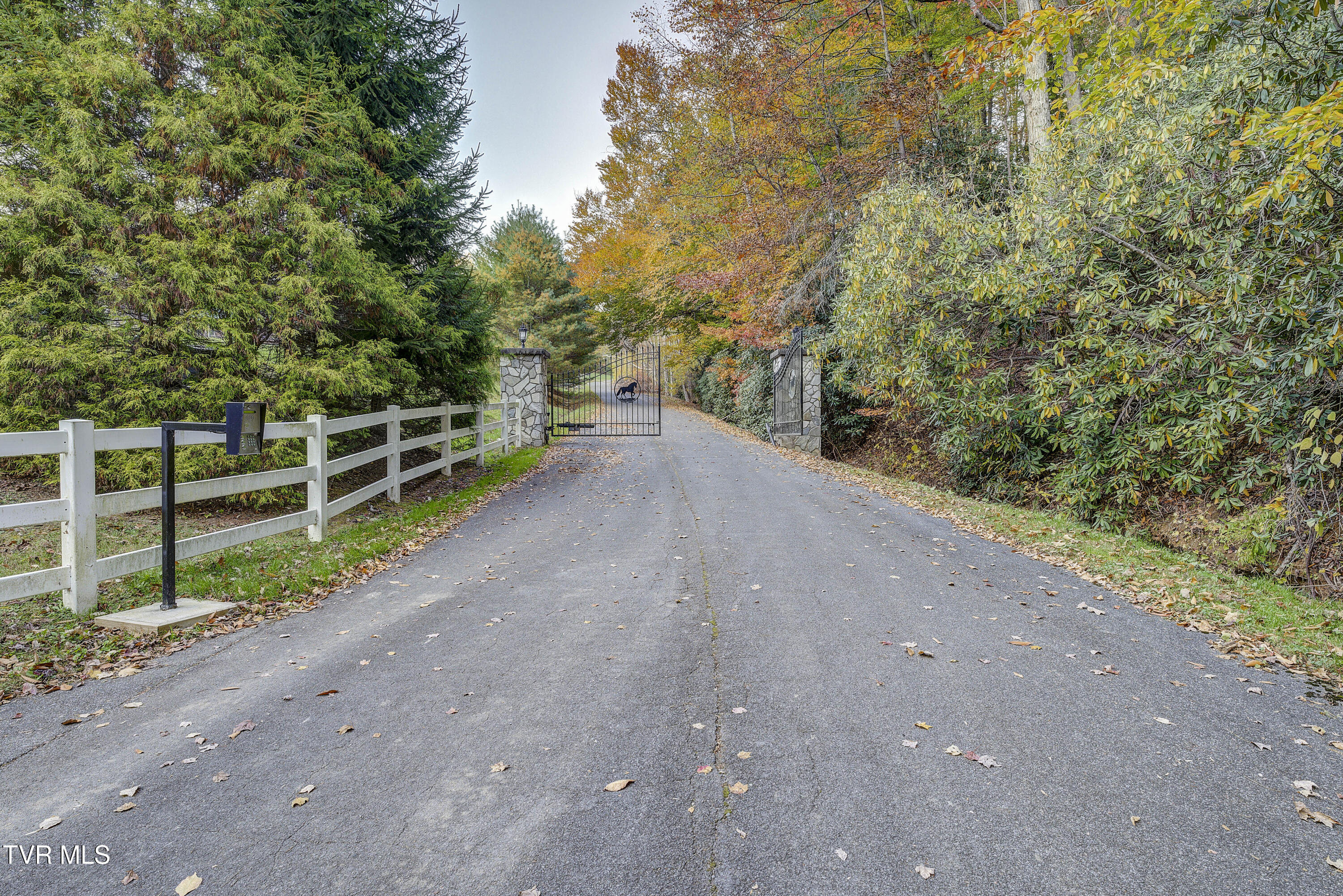 1008 Holly Meadow Road Mountain City, TN 37683 - Photo 121 of 121 HollyMeadow-83