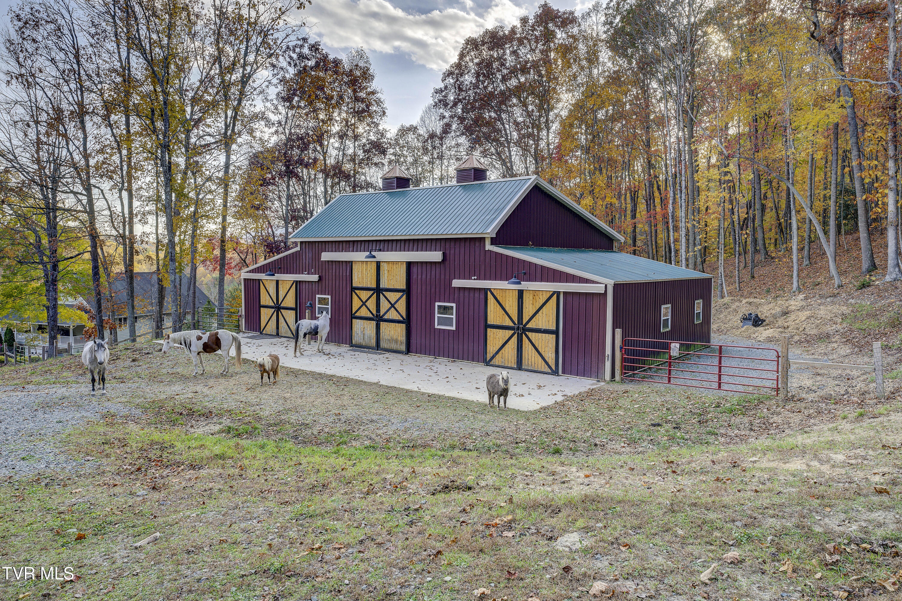 1008 Holly Meadow Road Mountain City, TN 37683 - Photo 54 of 121 HollyMeadow-67