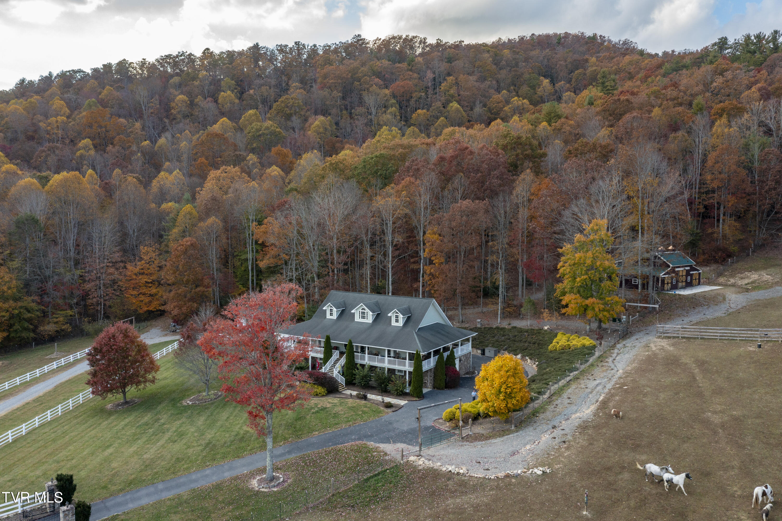 1008 Holly Meadow Road Mountain City, TN 37683 - Photo 69 of 121 Holly-Aerials-9