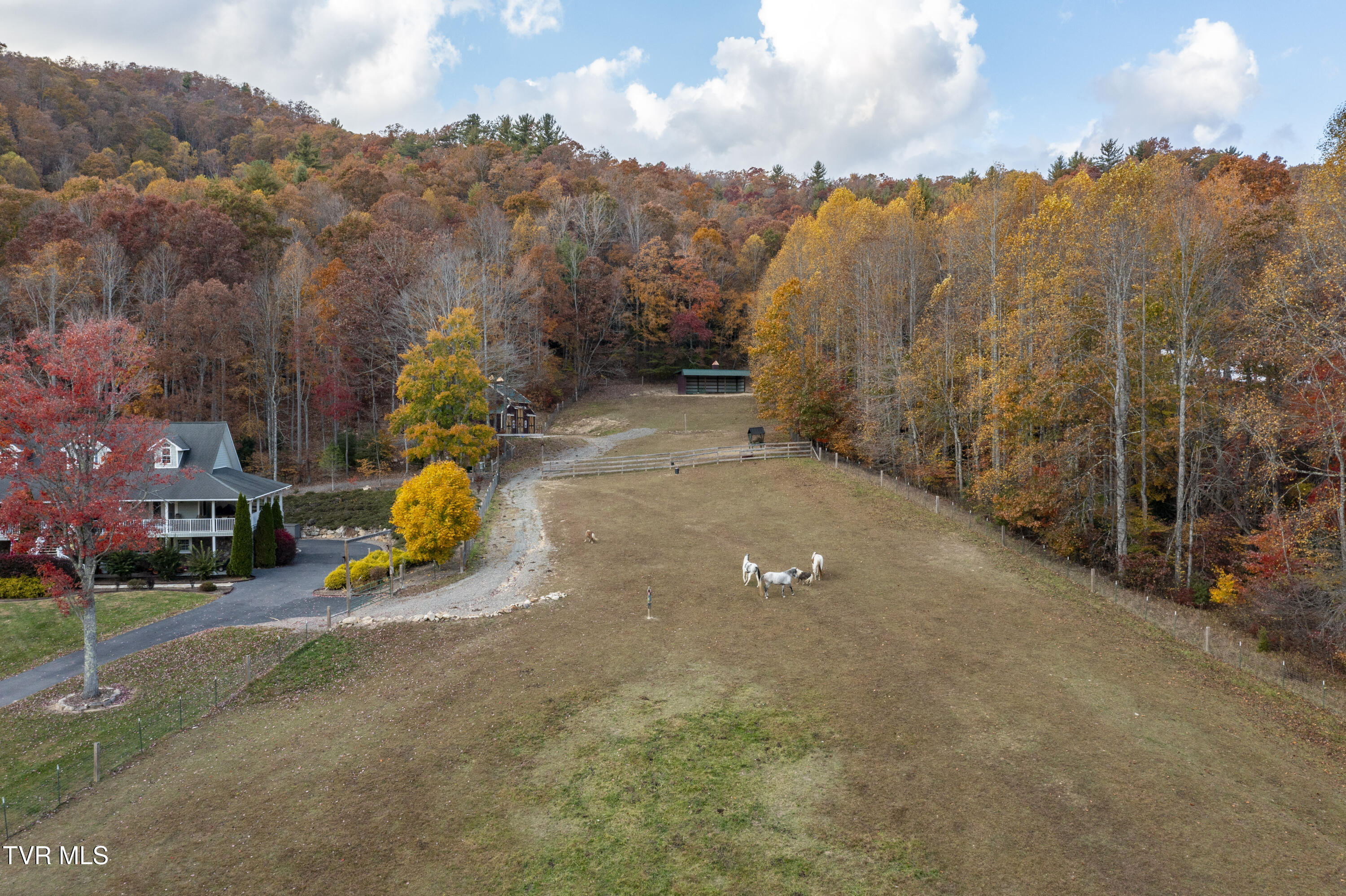 1008 Holly Meadow Road Mountain City, TN 37683 - Photo 70 of 121 Holly-Aerials-10