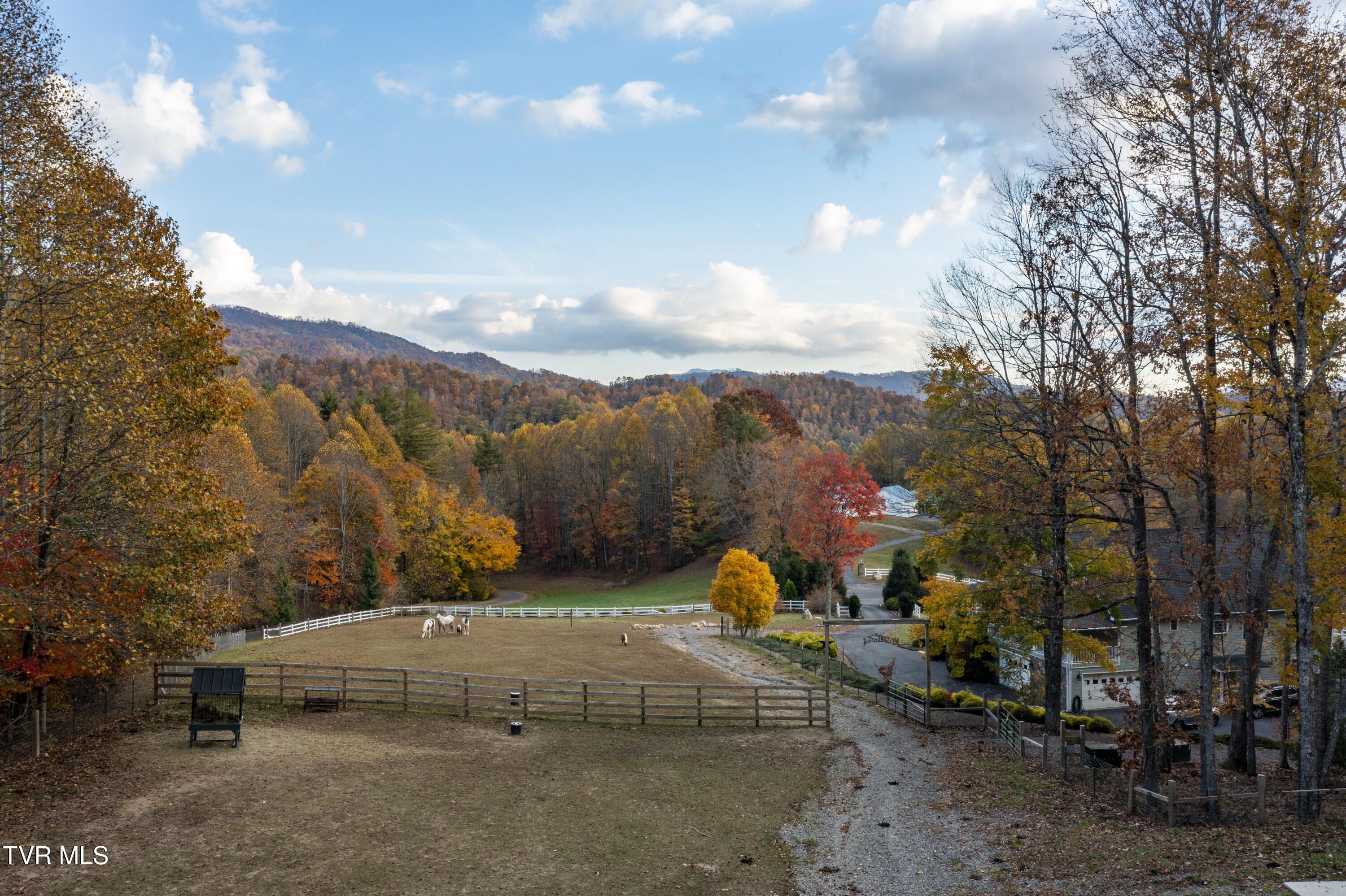 1008 Holly Meadow Road Mountain City, TN 37683 - Photo 72 of 121 Holly-Aerials-14