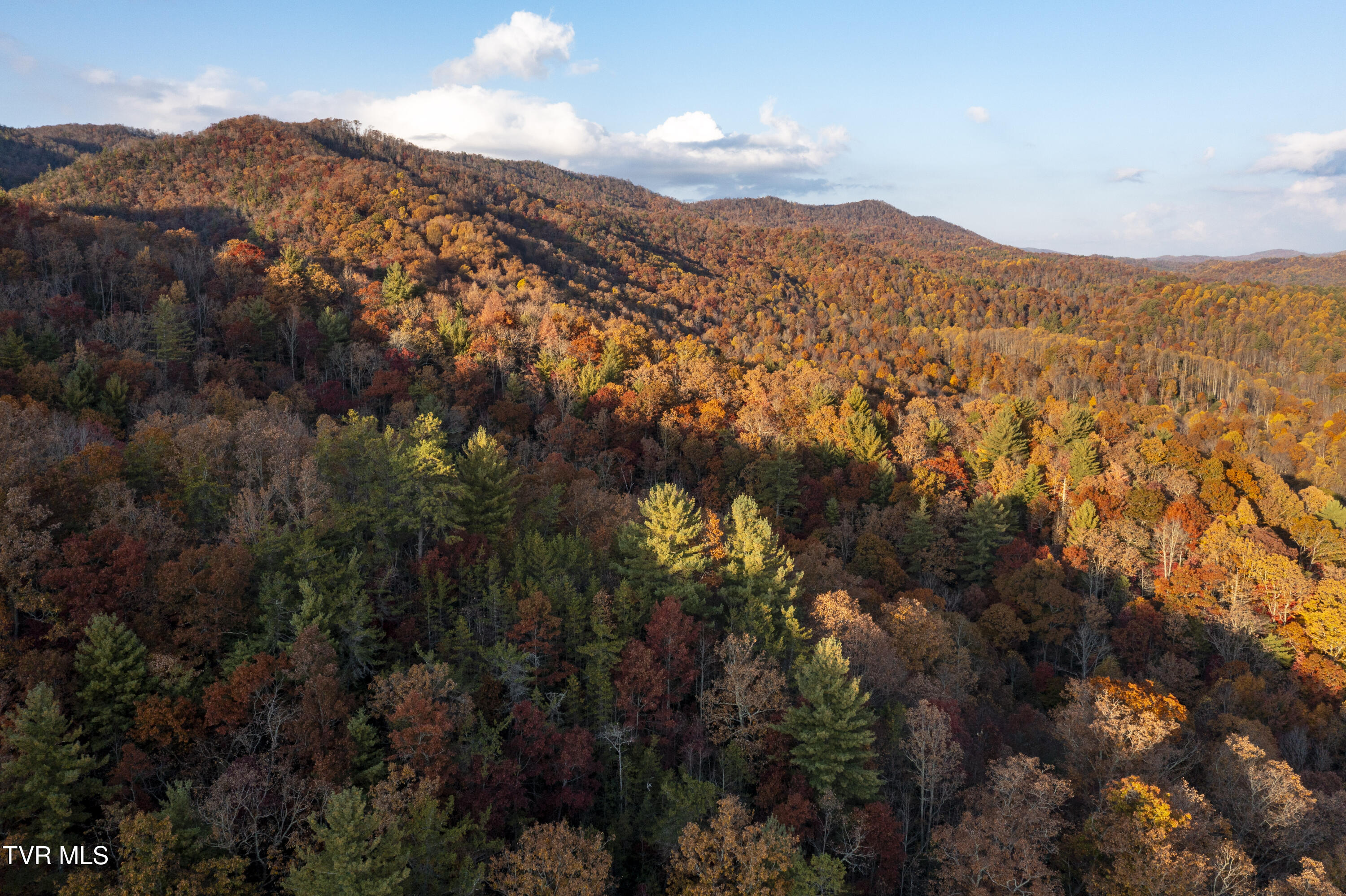 1008 Holly Meadow Road Mountain City, TN 37683 - Photo 91 of 121 Holly-Aerials-33