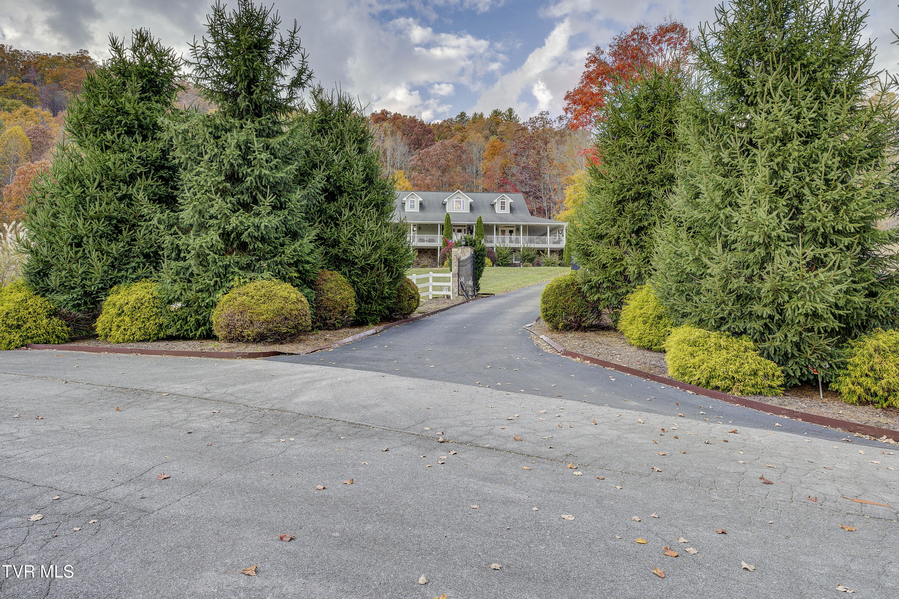 1008 Holly Meadow Road Mountain City, TN 37683 - Photo 96 of 121 HollyMeadow-41