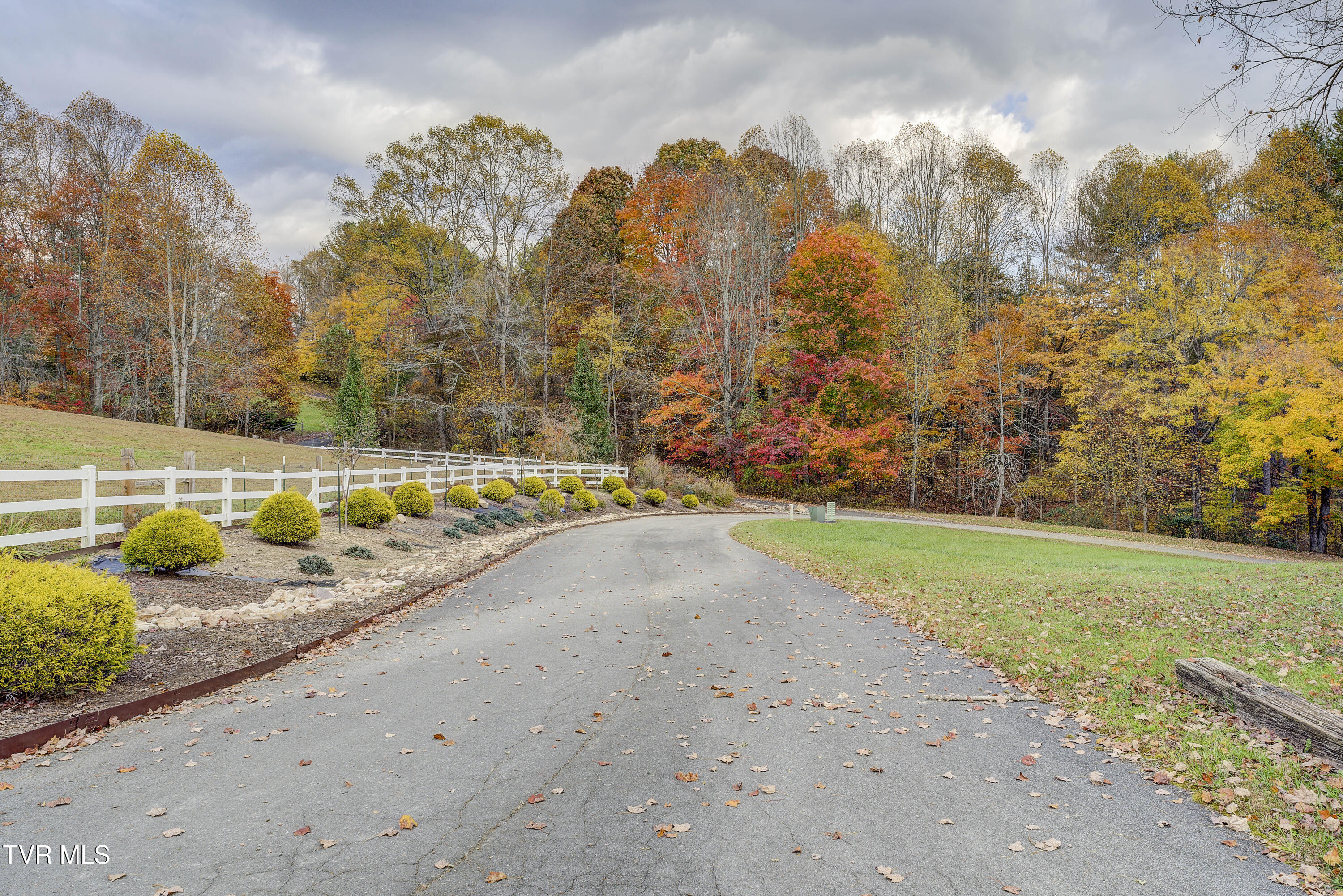 1008 Holly Meadow Road Mountain City, TN 37683 - Photo 97 of 121 HollyMeadow-42