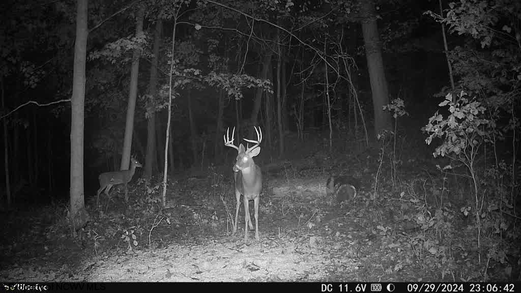 Tbd Dallison Road Walker, WV 26180 - Photo 19 of 20 Gallery Image 19
