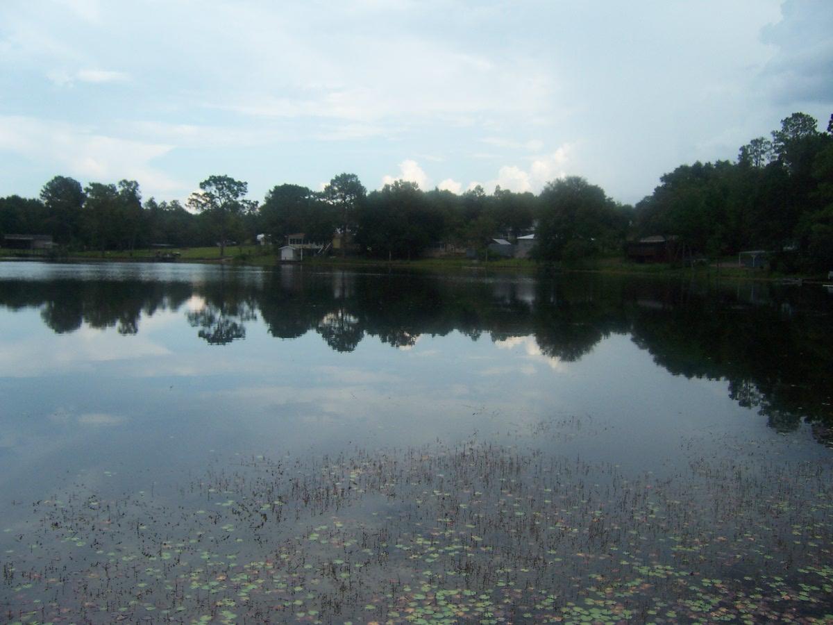194 Red Eye Road DeFuniak Springs, FL 32433 - Photo 11 of 34 100_6112