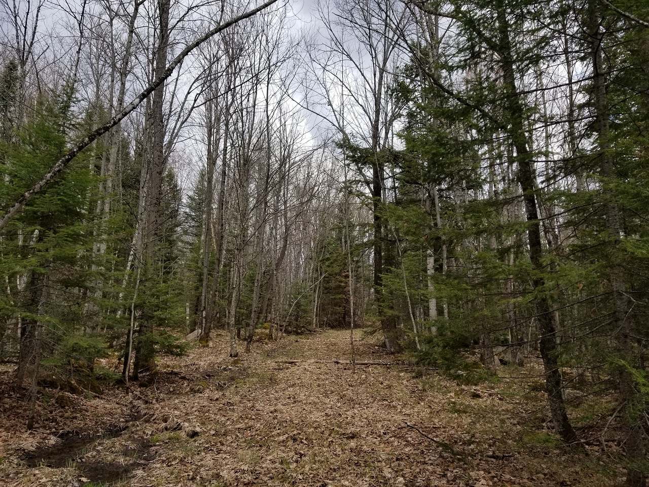 Lot 4 John Dul Road Mercer, WI 54547 - Photo 2 of 30 Gallery Image 2