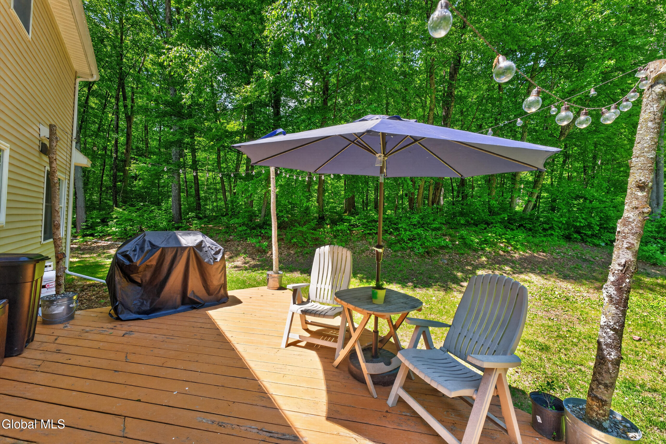 117 Kilmer Road Argyle, NY 12809 - Photo 35 of 50 Yard 9