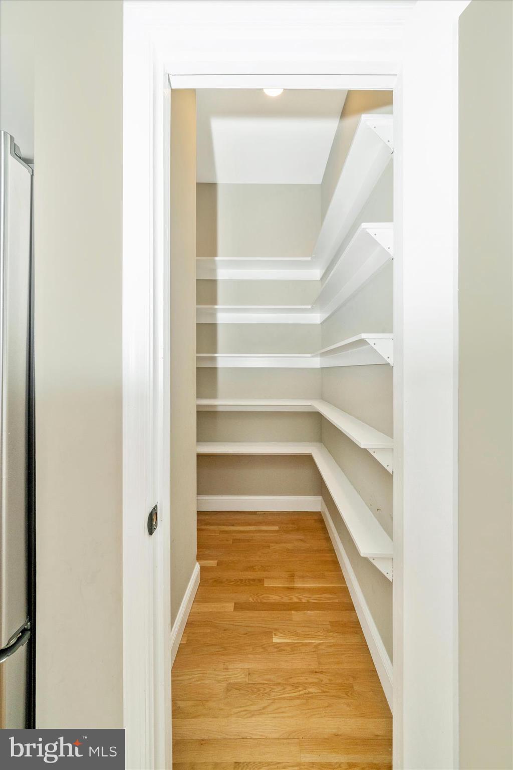 3313 Moline Road Silver Spring, MD 20902 - Photo 20 of 66 Walk-in pantry