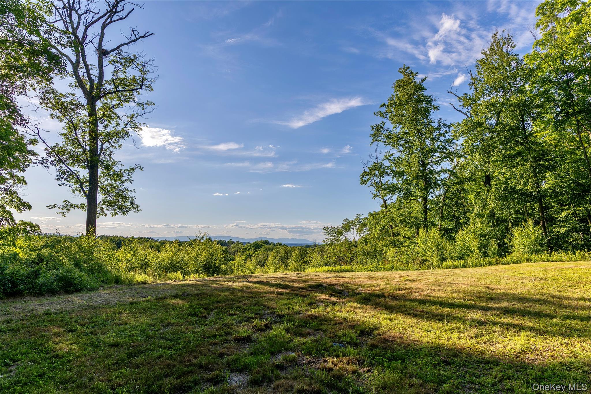 Mallory Road Verbank, NY 12585 - Photo 7 of 16