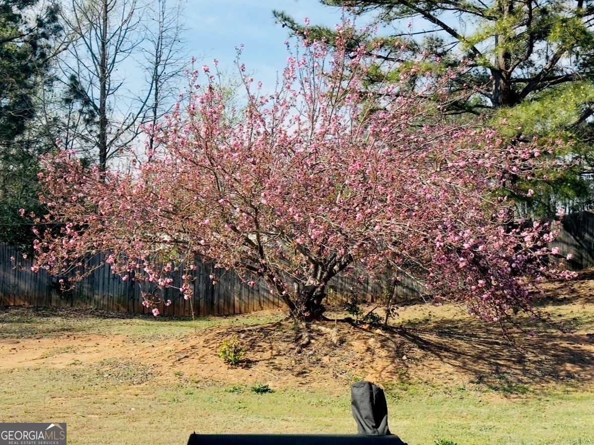 2737 Autumn Lake Lane Decatur, GA 30034 - Photo 49 of 49