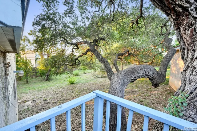 a view of a yard with large trees