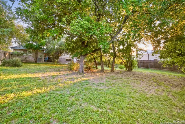 a view of a yard with a tree