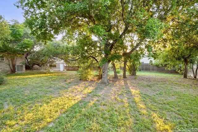 a view of yard with trees