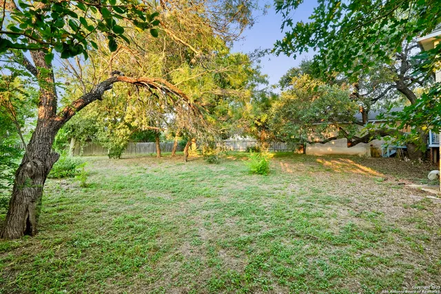 a view of yard with green space