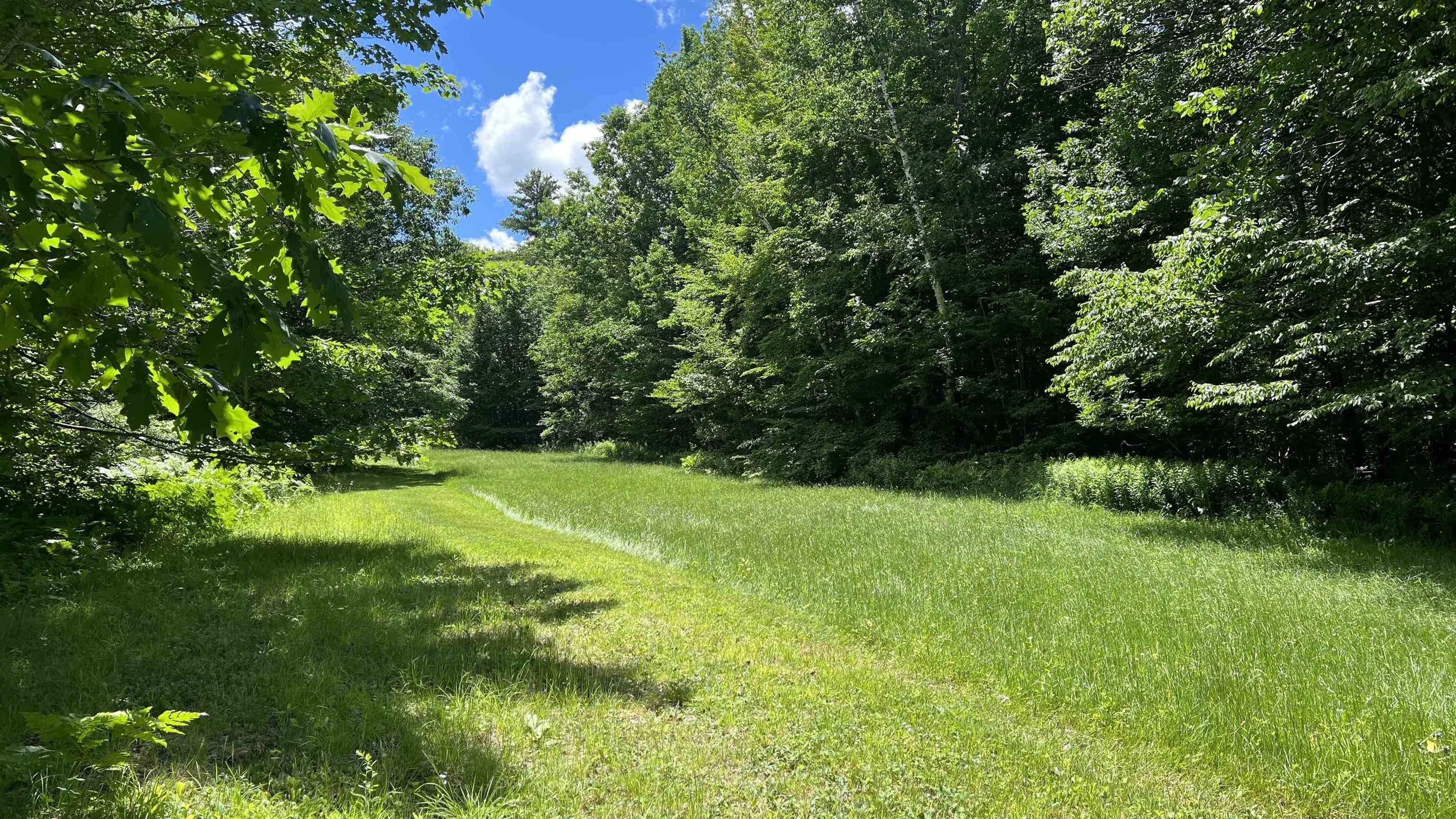 412 Hall Ranch Road Grafton, VT 05146 - Photo 41 of 48