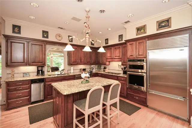 a view of a garden with plants