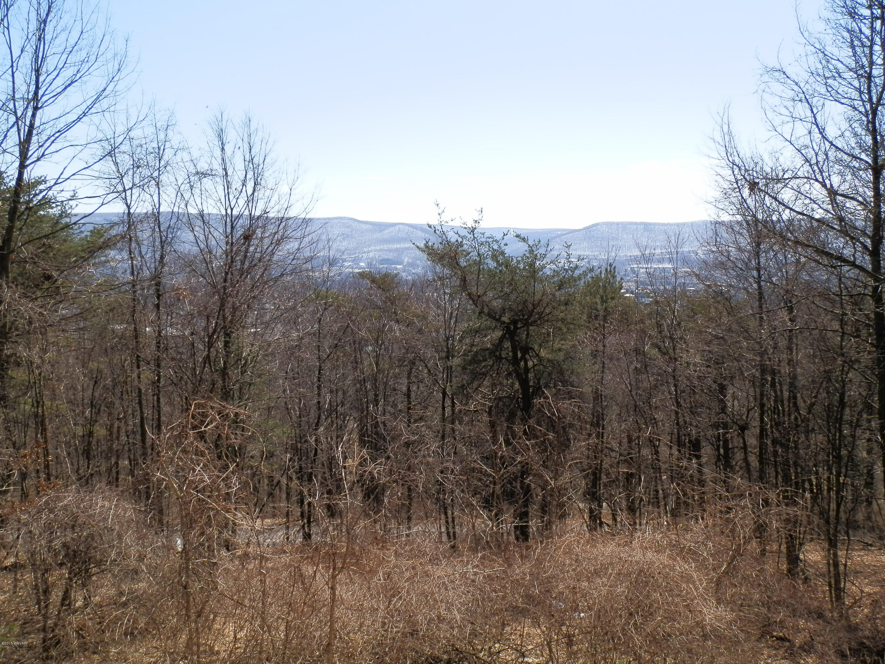 333 Upland Road Williamsport, PA 17701 - Photo 16 of 18 Winter View 2