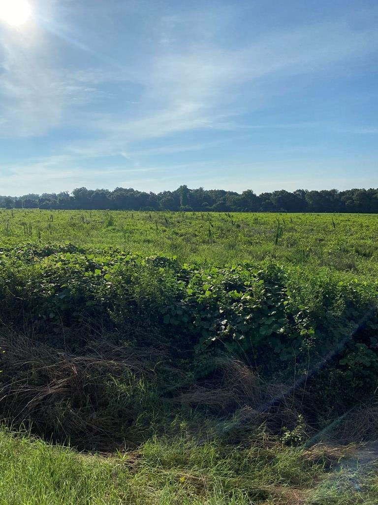 2763 Memphis Church Road Dothan, AL 36301 - Photo 7 of 15