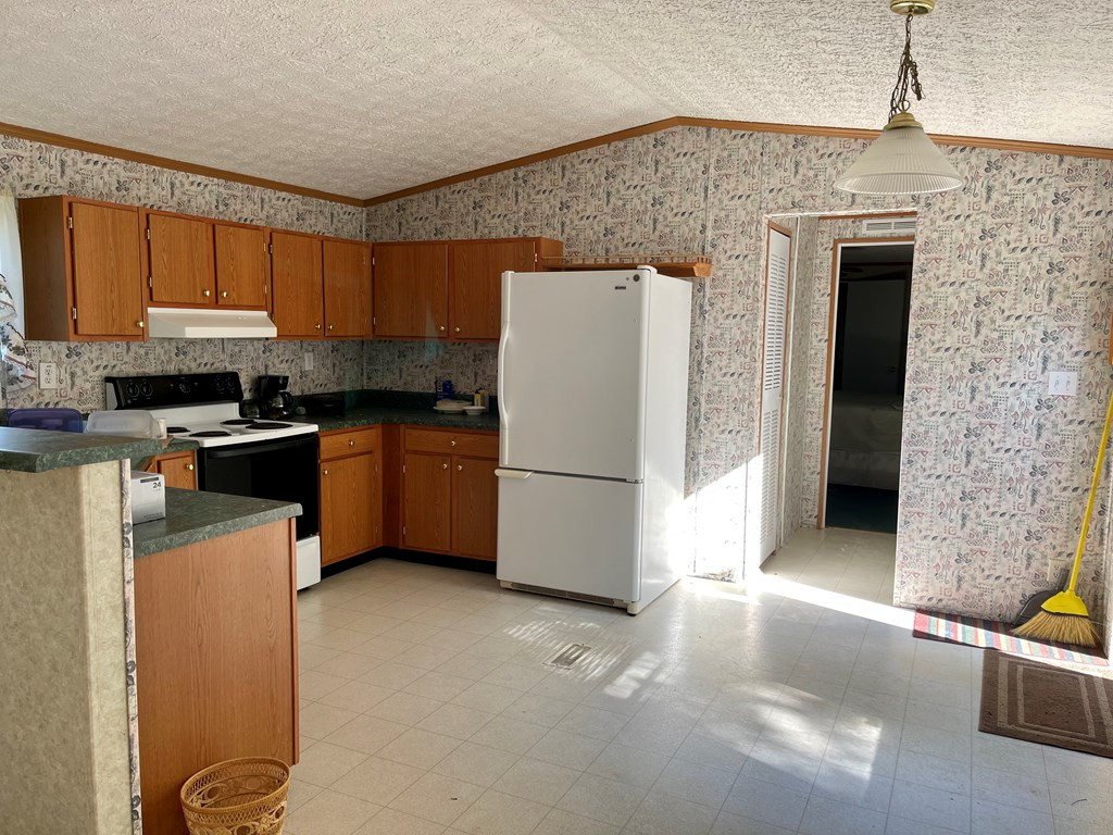 268 Mt Calvary Road Trenton, SC 29847 - Photo 6 of 18