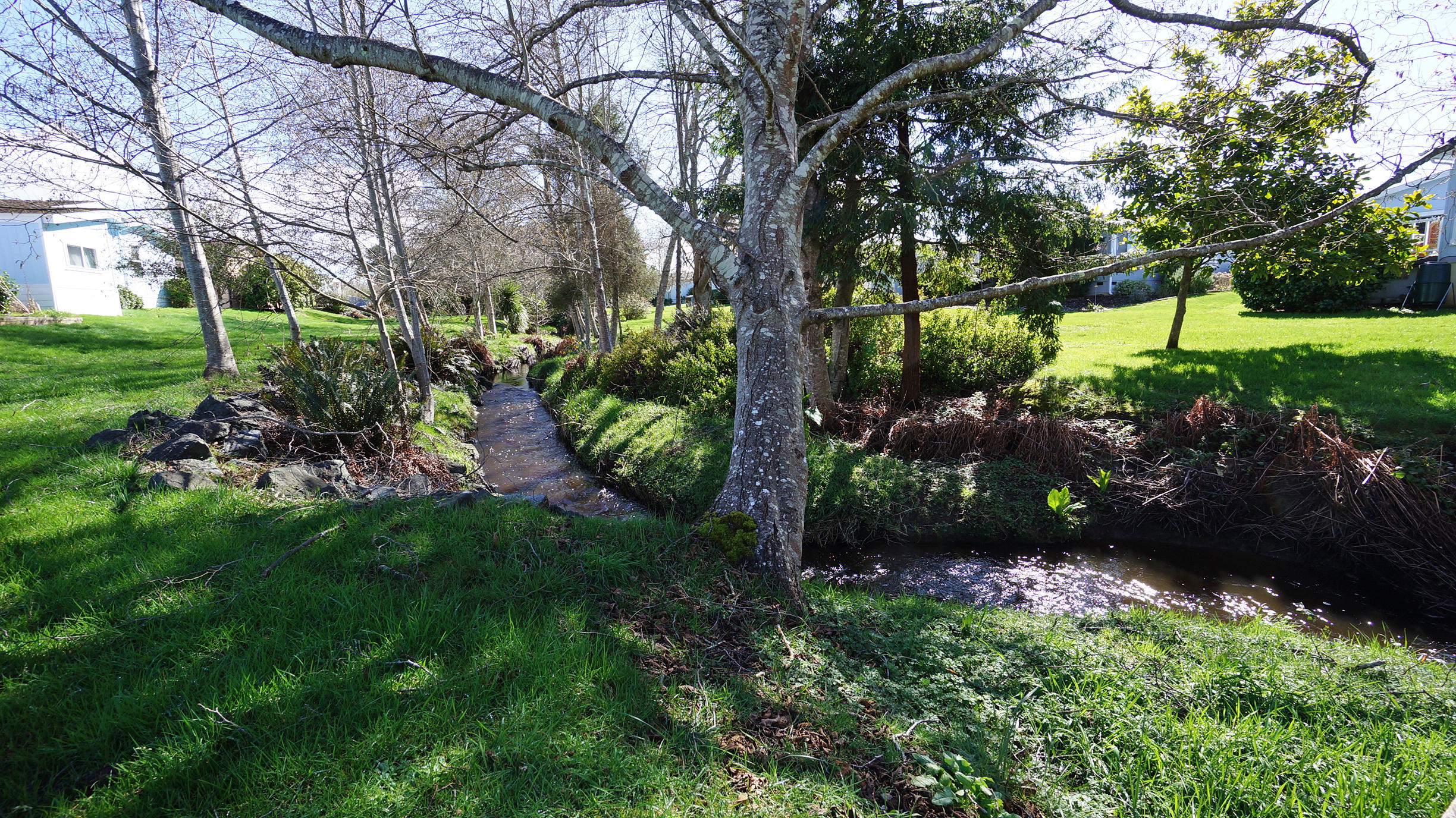 1090 Murray Road, Unit 52 McKinleyville, CA 95519 - Photo 4 of 20