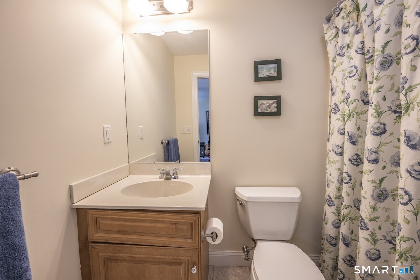 22 R Olde Yankee Way Durham, CT 06422 - Photo 22 of 29
