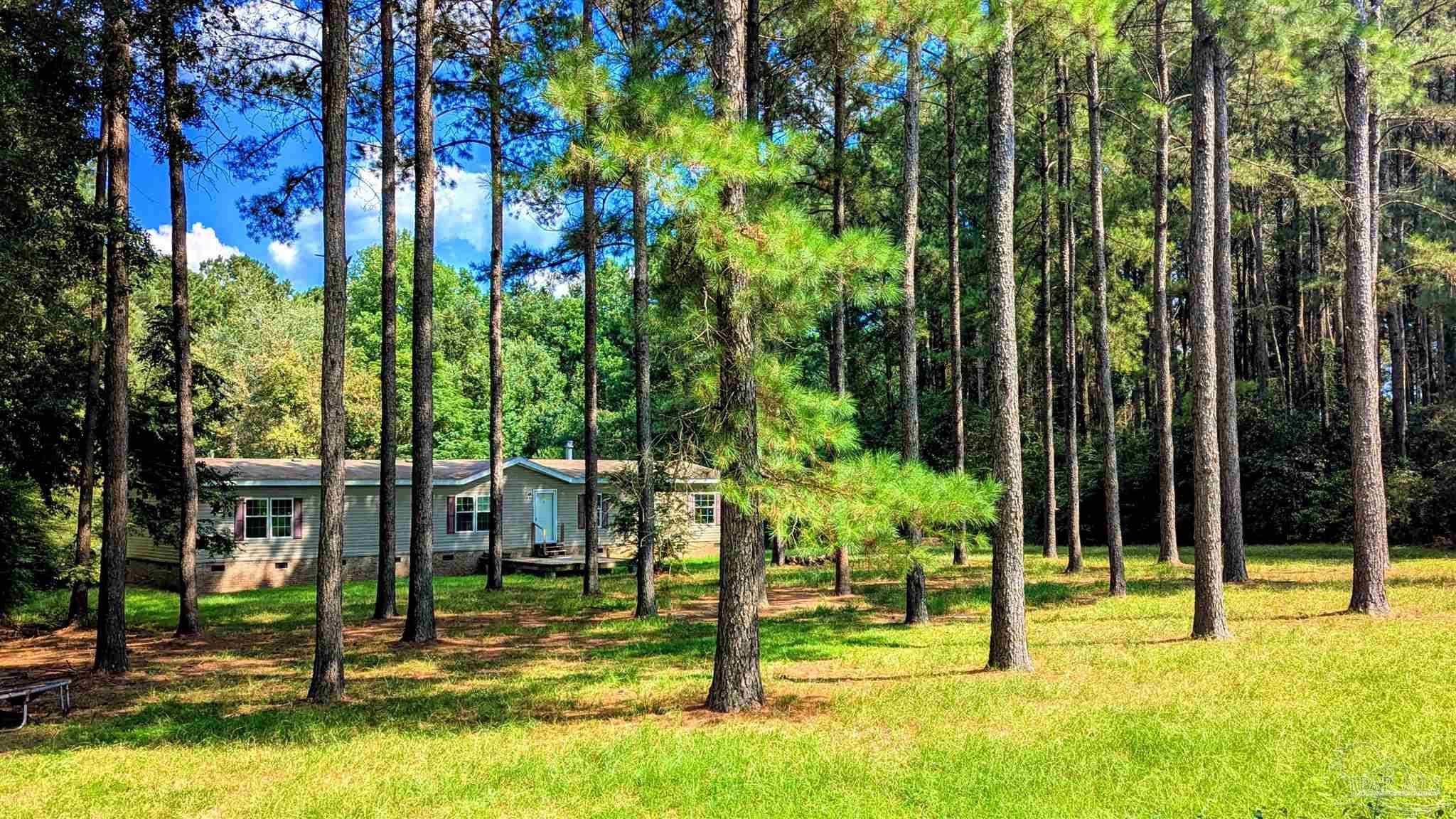 3050 Sam Sullivan Road Millry, AL 36558 - Photo 43 of 61