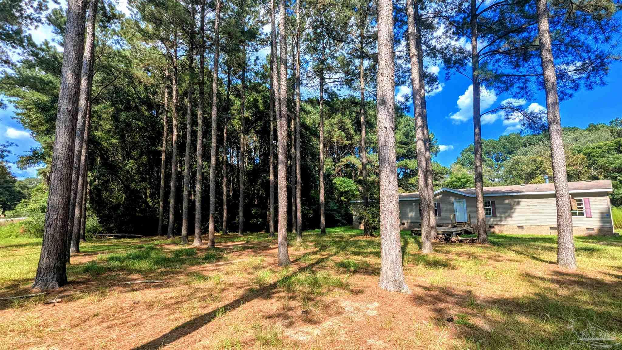 3050 Sam Sullivan Road Millry, AL 36558 - Photo 44 of 61