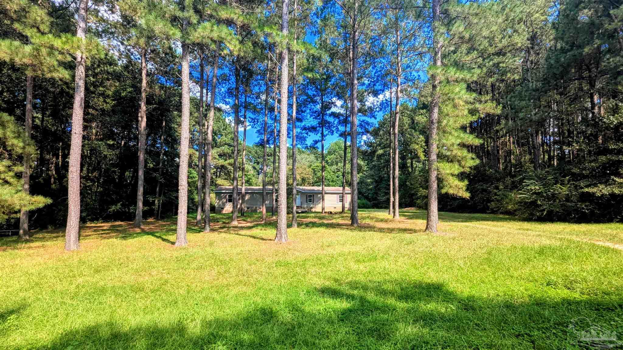 3050 Sam Sullivan Road Millry, AL 36558 - Photo 50 of 61