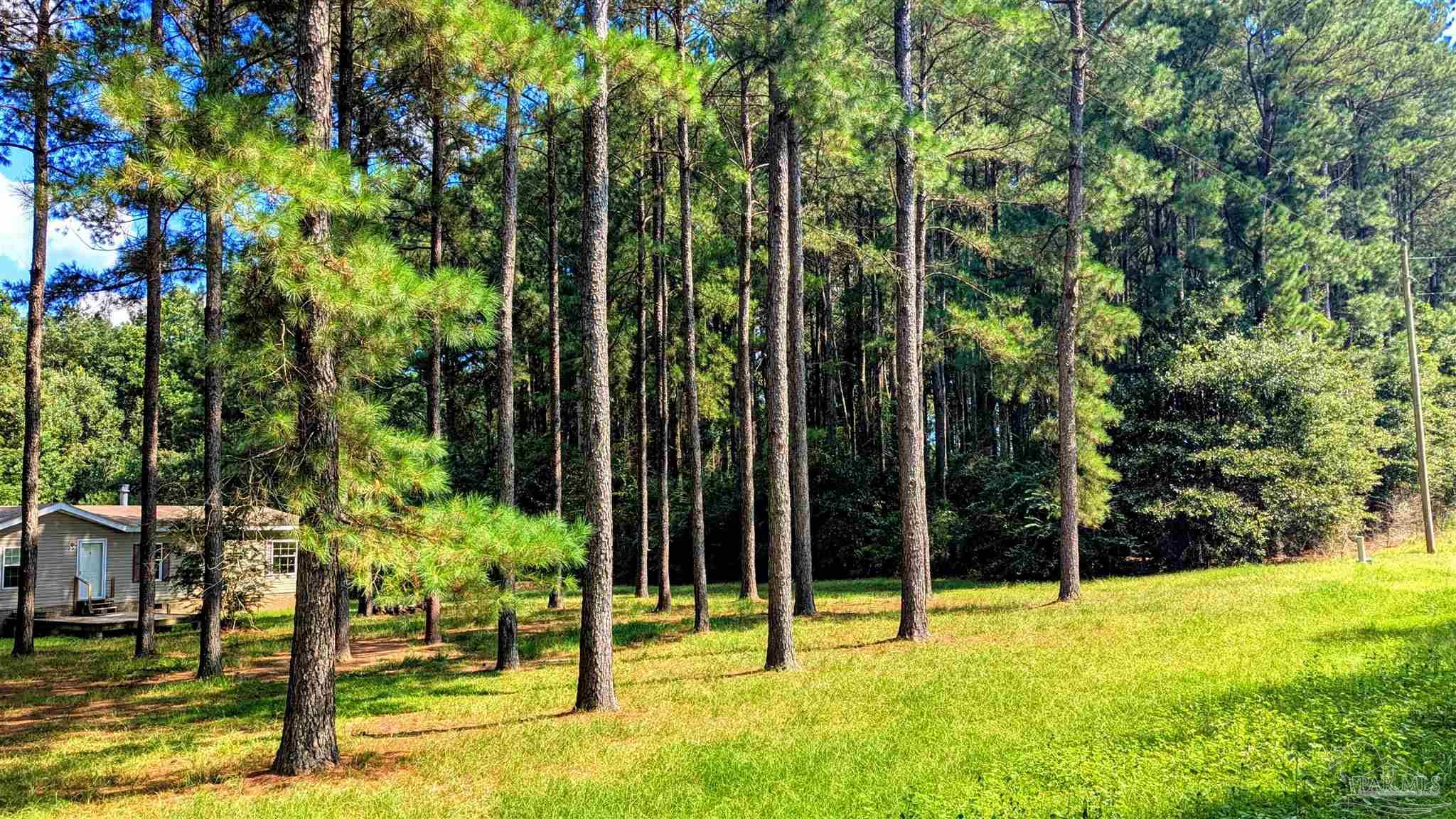 3050 Sam Sullivan Road Millry, AL 36558 - Photo 55 of 61