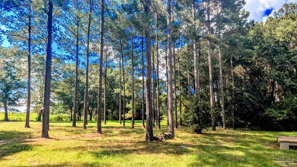 $114,900 | 3050 Sam Sullivan Road, Millry, AL 36558