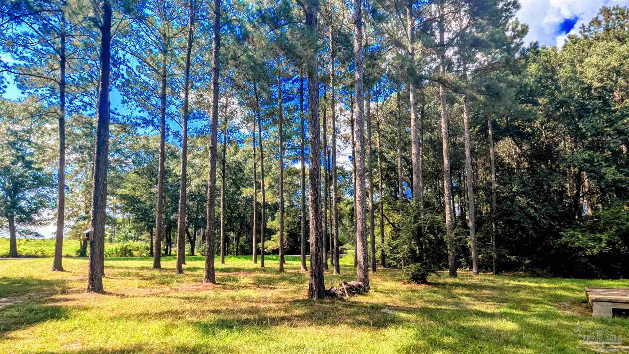 3050 Sam Sullivan Road Millry, AL 36558 - Photo 57 of 61