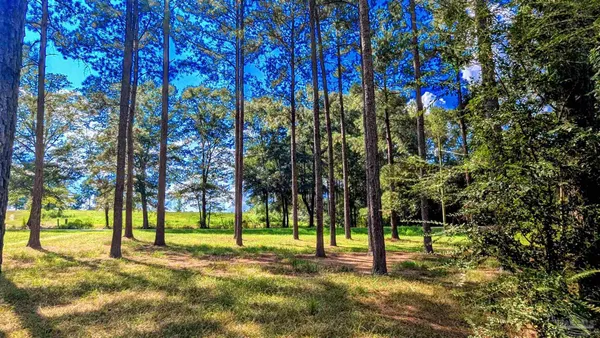 $114,900 | 3050 Sam Sullivan Road, Millry, AL 36558