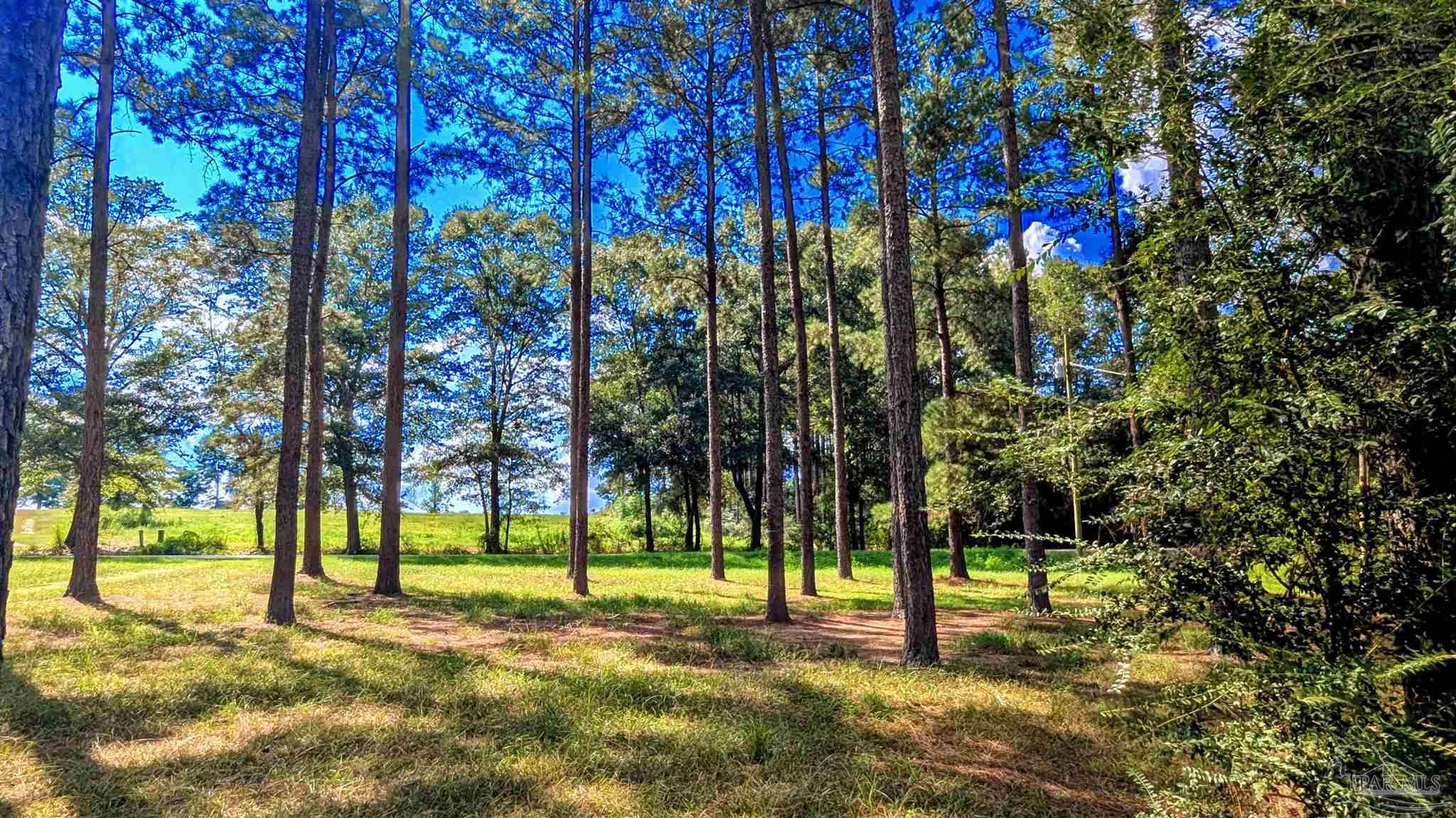3050 Sam Sullivan Road Millry, AL 36558 - Photo 59 of 61