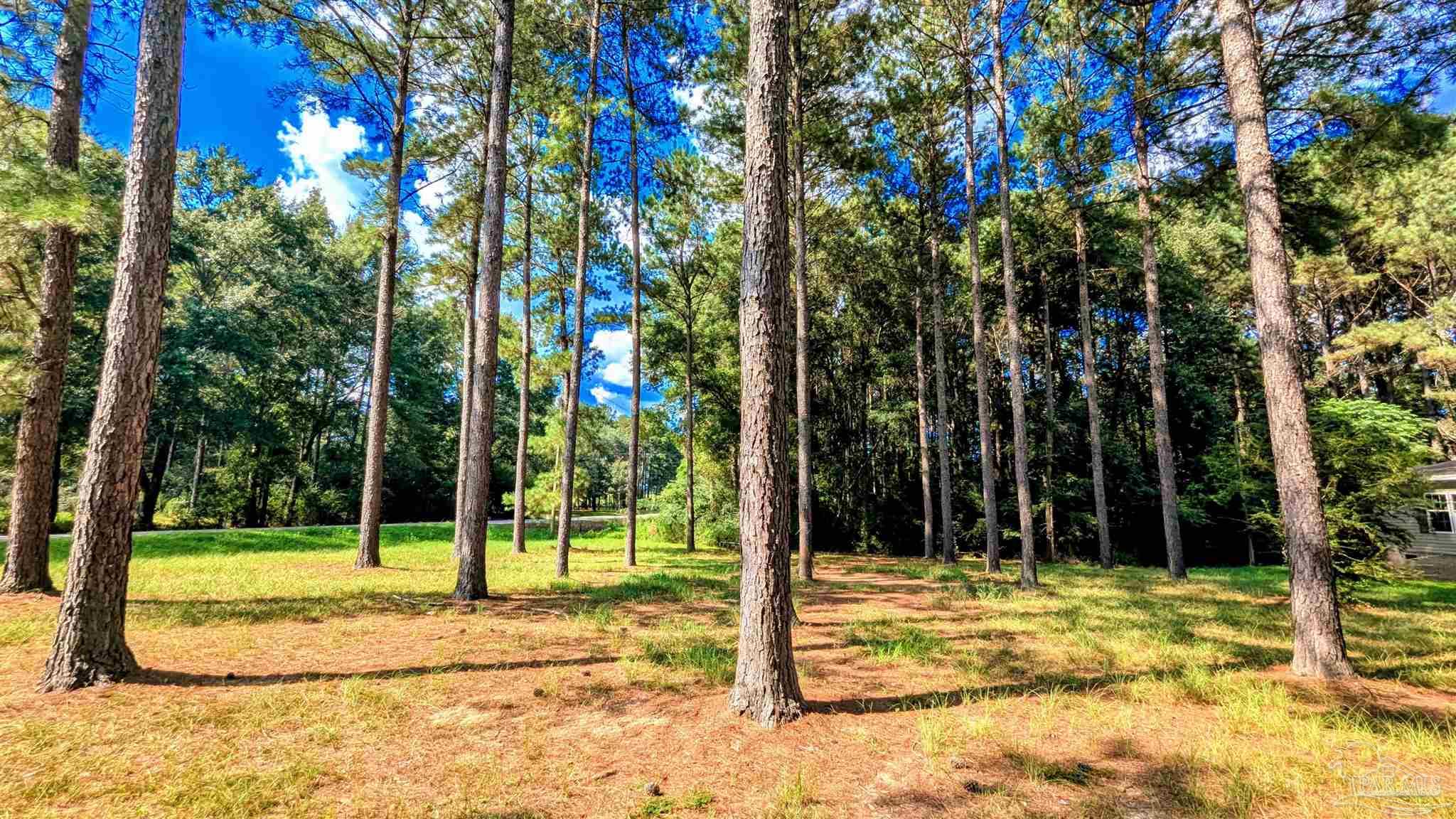 3050 Sam Sullivan Road Millry, AL 36558 - Photo 61 of 61
