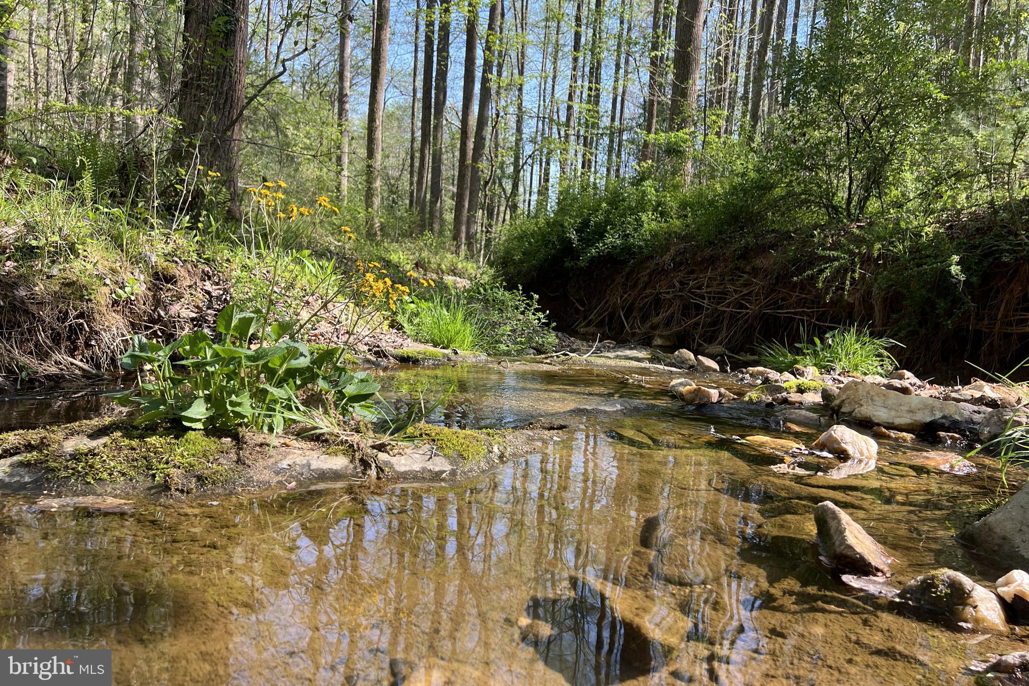 677 Weaver Hollow Road Banco, VA 22711 - Photo 29 of 34 Tributary to Leathers Run meanders along