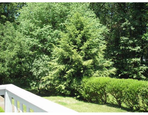 7 Stuart Place Westfield, MA 01085 - Photo 18 of 20 a view of a garden