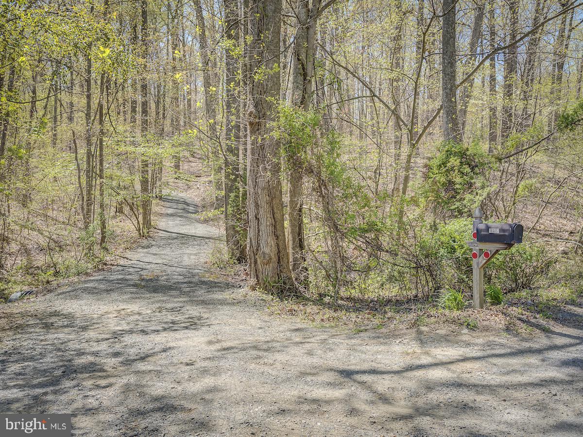 9335 Ada Road Marshall, VA 20115 - Photo 2 of 6 Driveway from Ada Road to Lot 3A