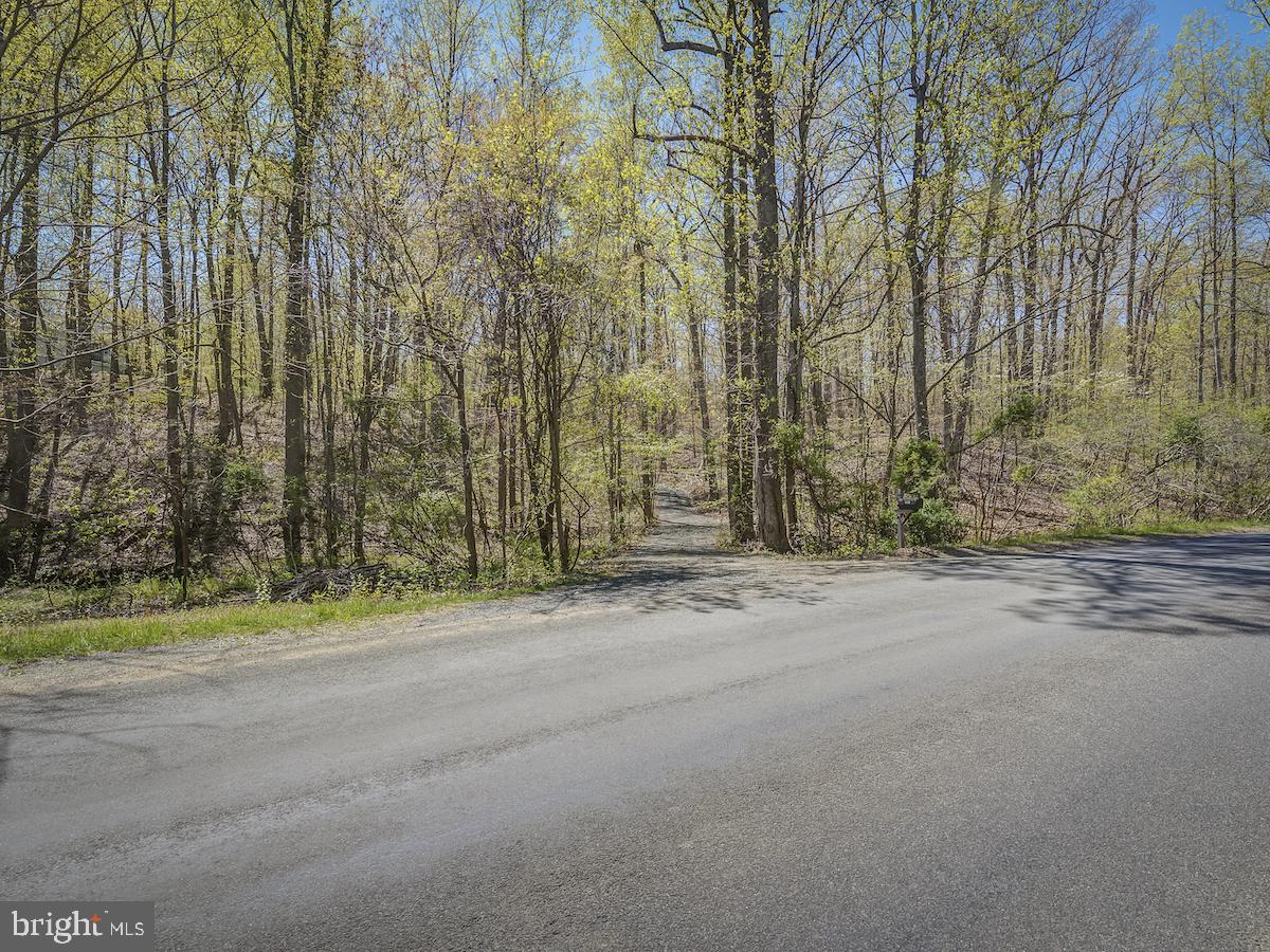 9335 Ada Road Marshall, VA 20115 - Photo 4 of 6 Tranquil and quiet Ada Road