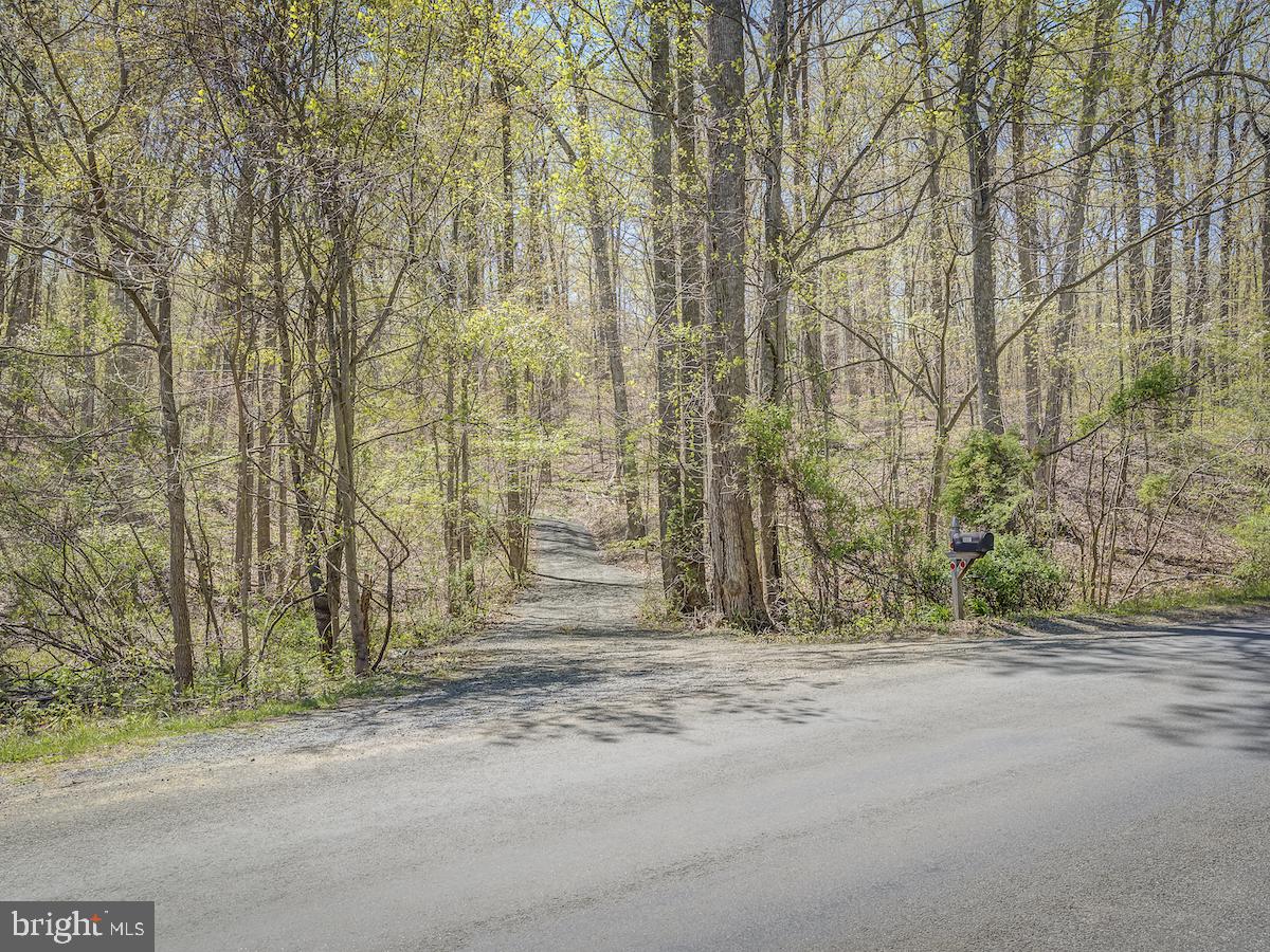 9335 Ada Road Marshall, VA 20115 - Photo 5 of 6 Tranquil and quiet Ada Road
