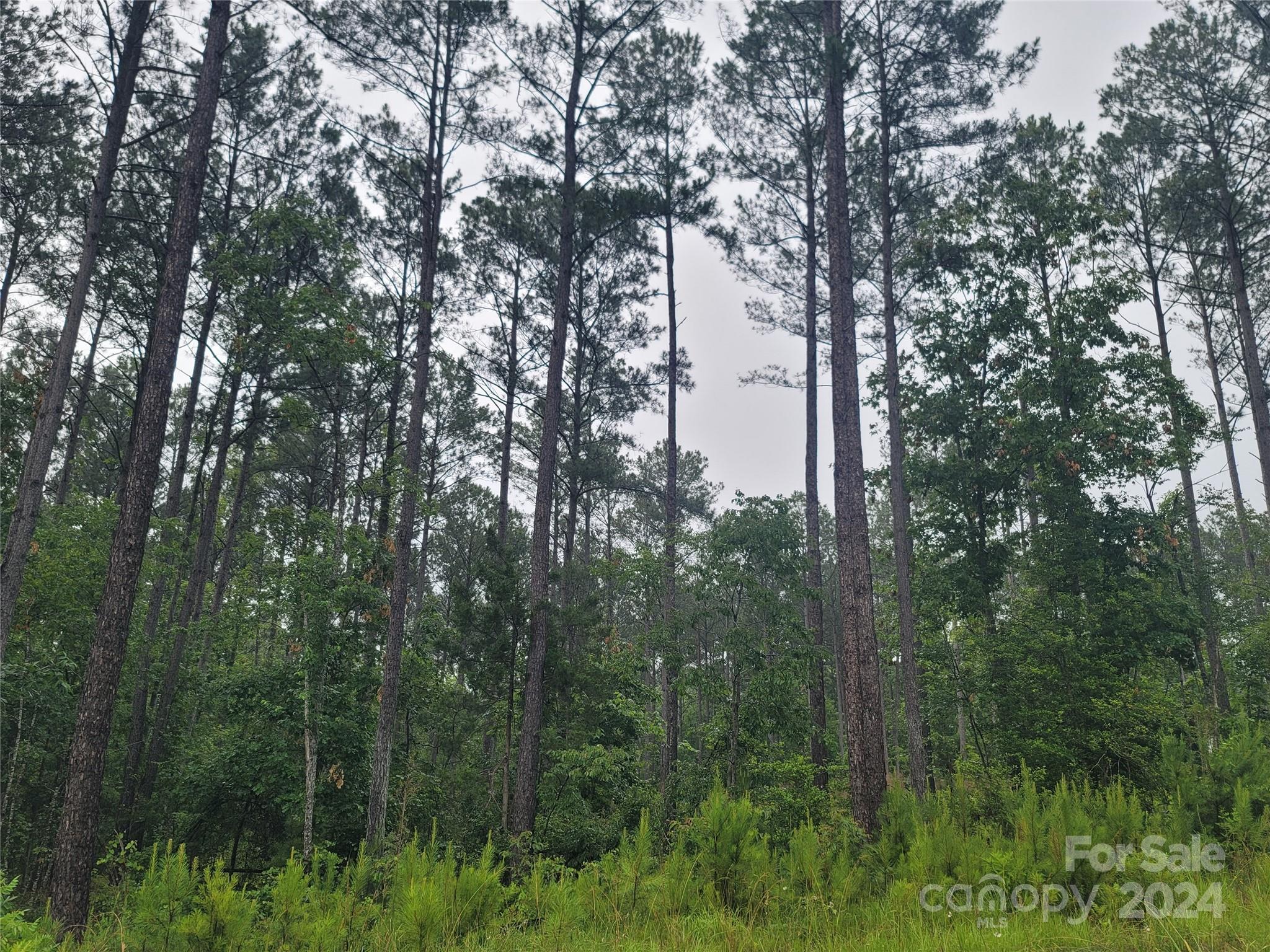 4635 Persimmon Road Lancaster, SC 29720 - Photo 1 of 14 Gallery Image 1