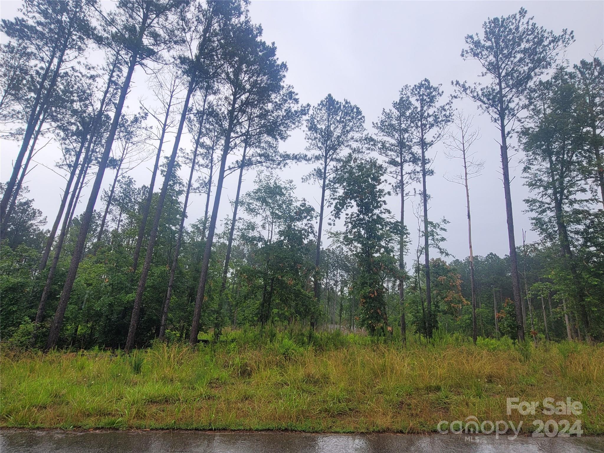 4635 Persimmon Road Lancaster, SC 29720 - Photo 2 of 14 Gallery Image 2