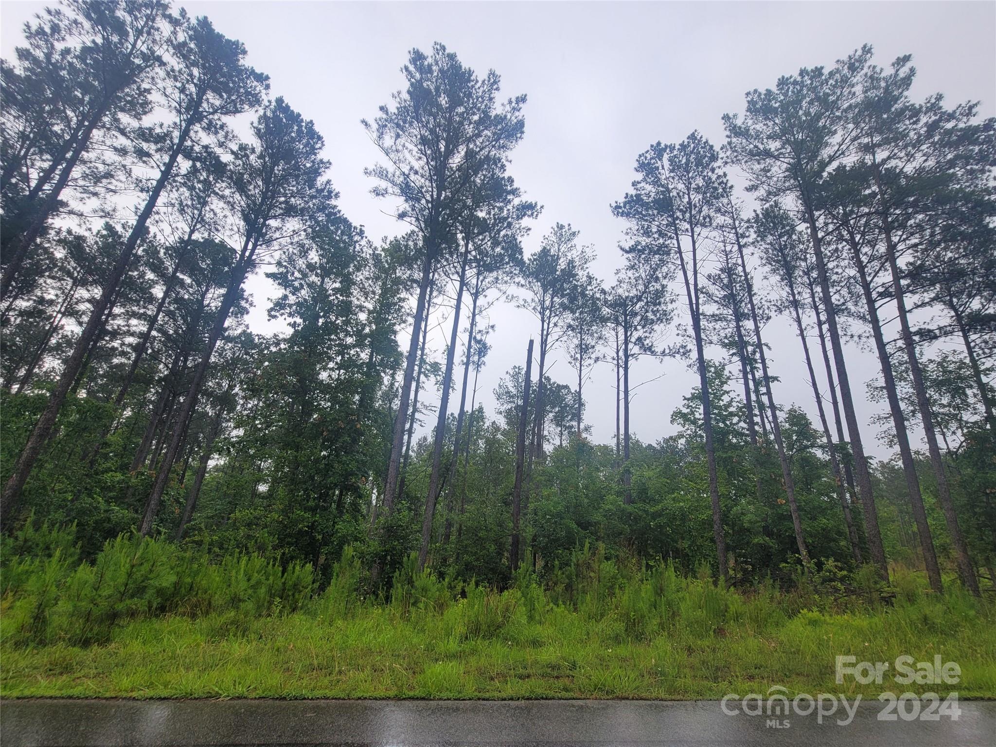 4635 Persimmon Road Lancaster, SC 29720 - Photo 3 of 14 Gallery Image 3
