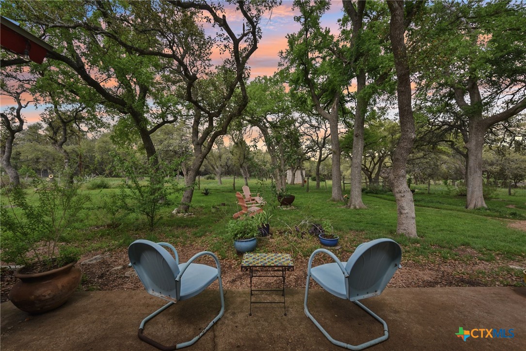 a view of a backyard with sitting area and garden