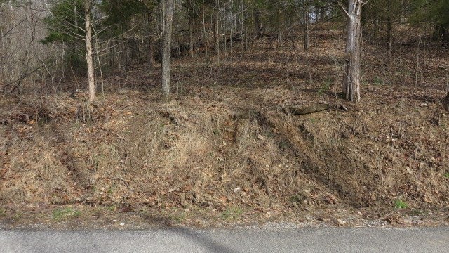 0 Dexterville-Oak Ridge Road Morgantown, KY 42261 - Photo 3 of 7 Gallery Image 3